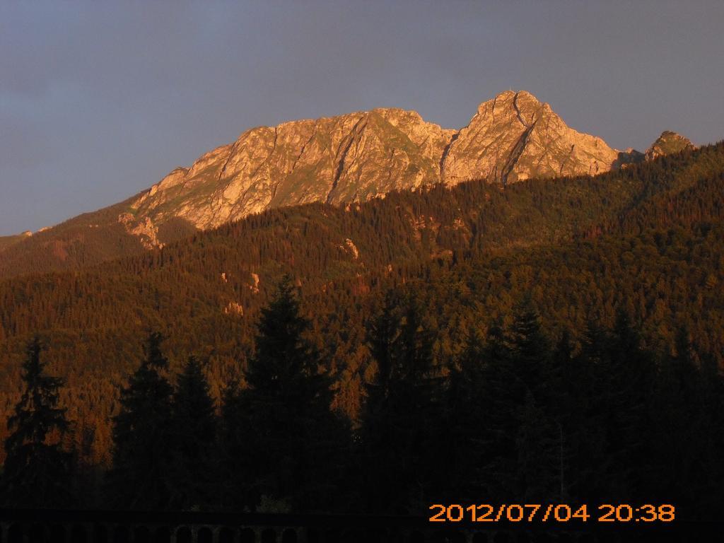 Siwarna Natura Tour Hotel Zakopane Exterior photo