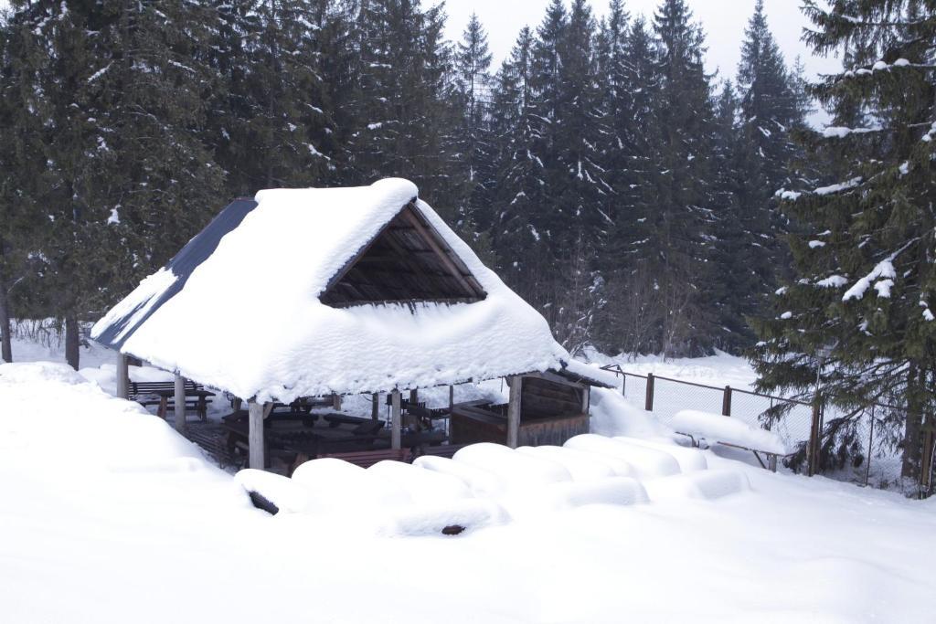 Siwarna Natura Tour Hotel Zakopane Exterior photo